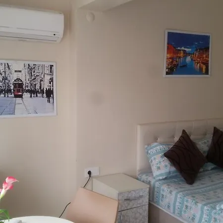 ゲストハウス Cicekli Yali *